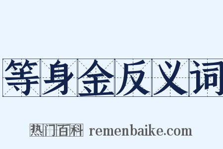 等身金反义词是什么意思的图片